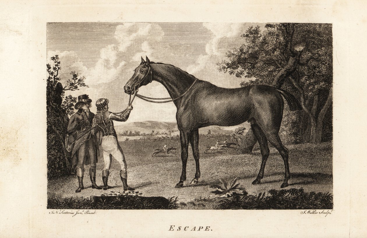 Portrait du célèbre coureur pur-sang Escape avec jockey et entraîneur - English School