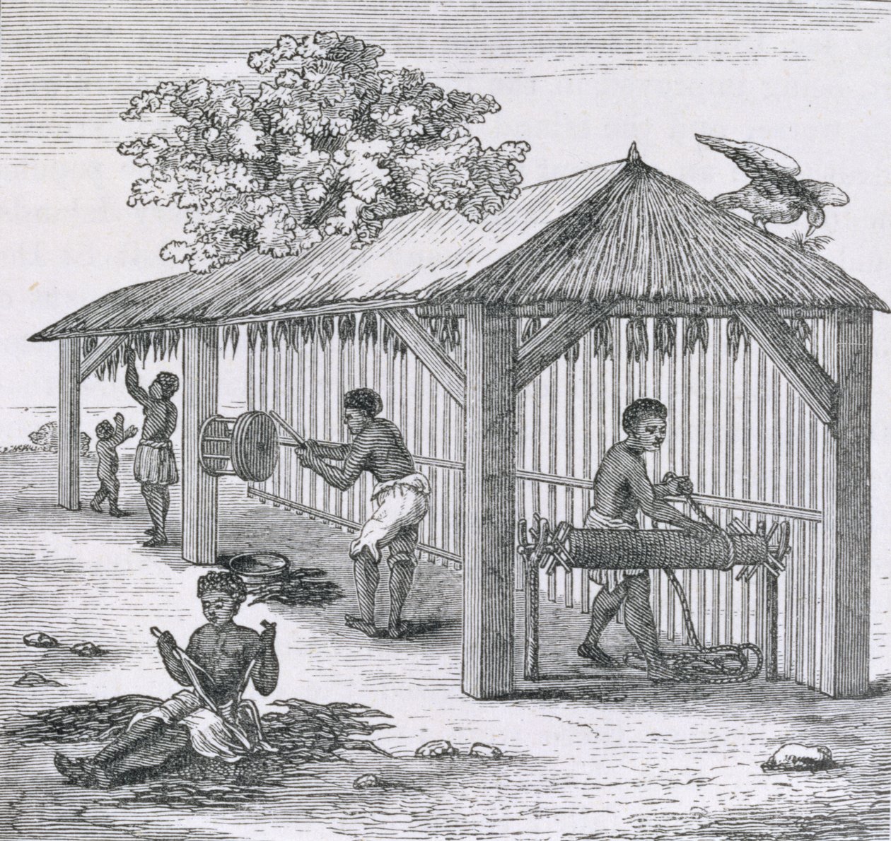 Préparation du tabac, de 