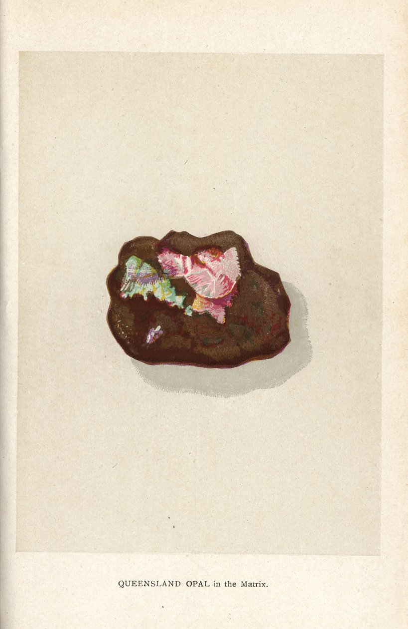 Opale du Queensland dans la matrice, de "Precious Stones and Gems" d