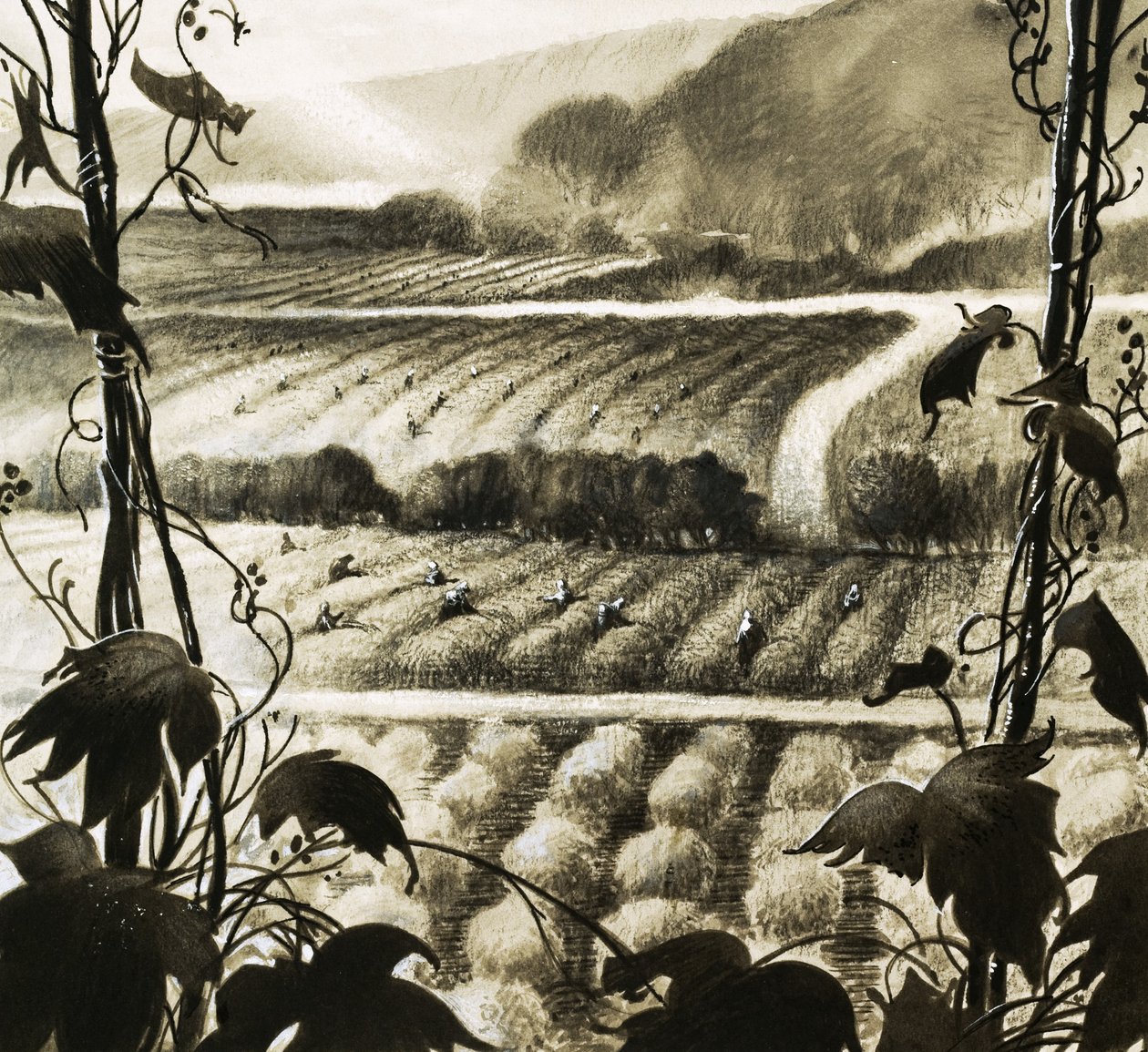Les réservoirs d
