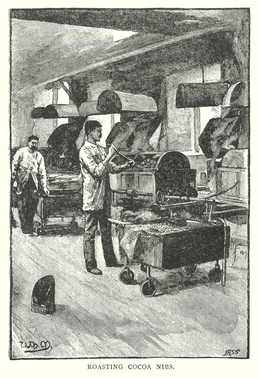 Torréfaction des grenailles de cacao (gravure) - English School