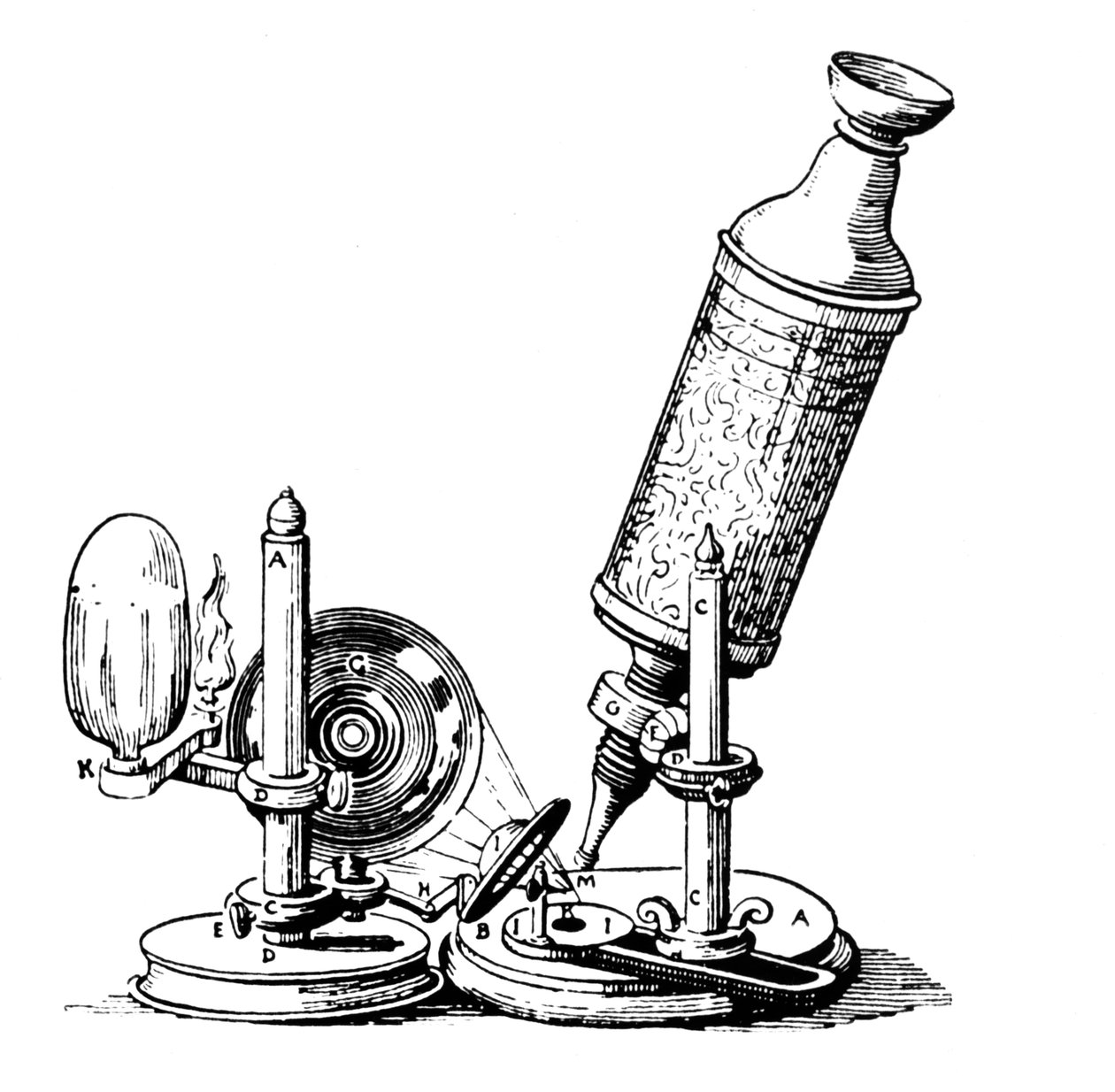 Microscope de Robert Hooke - English School