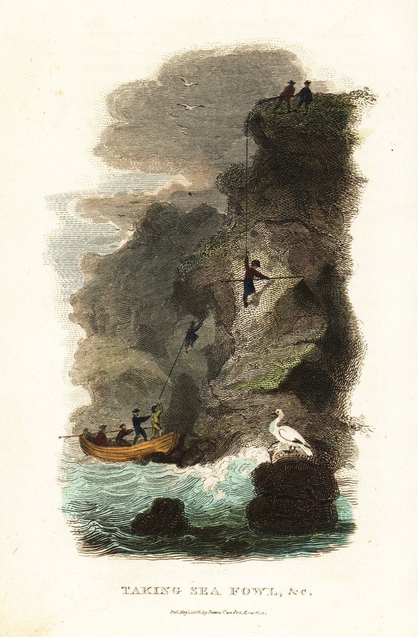 Chasseurs de rochers chassant des goélands skuas et des œufs aux îles Féroé - English School