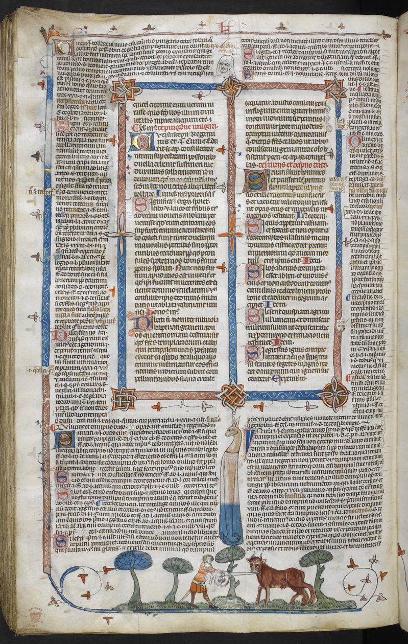 Homme attaquant un bœuf, des Décrétales de Smithfield (Décrétales de Grégoire IX) c.1340 - English School
