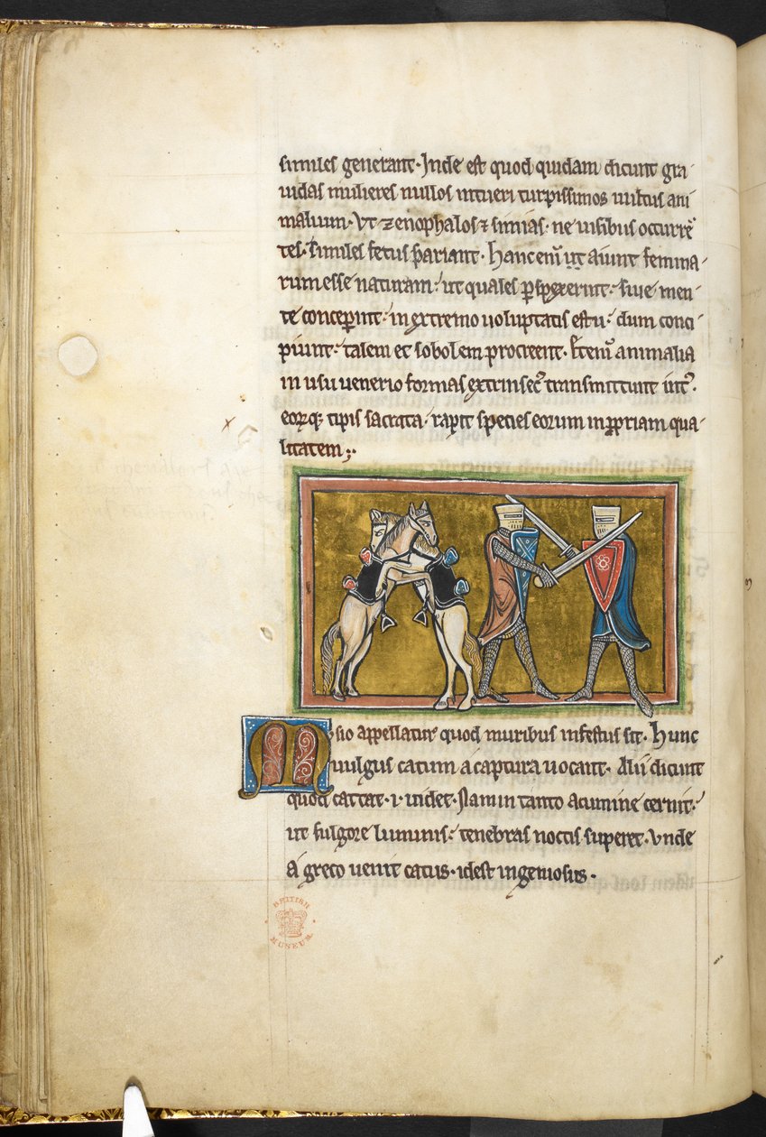 Deux chevaliers combattant à pied avec des épées, tandis que leurs chevaux se battent sur leurs pattes arrière, de Bestiaire (ff. 3-141), Lapidaire (ff. 141v-149), 2e quart du 13e siècle (vélin) - English School