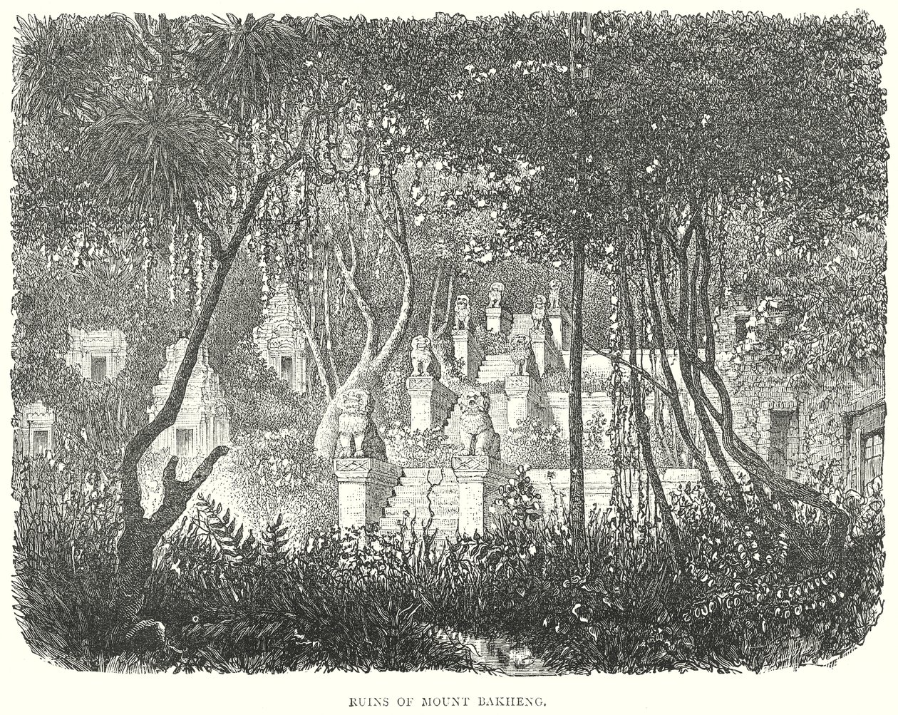 Ruines du Mont Bakheng (gravure) - English School