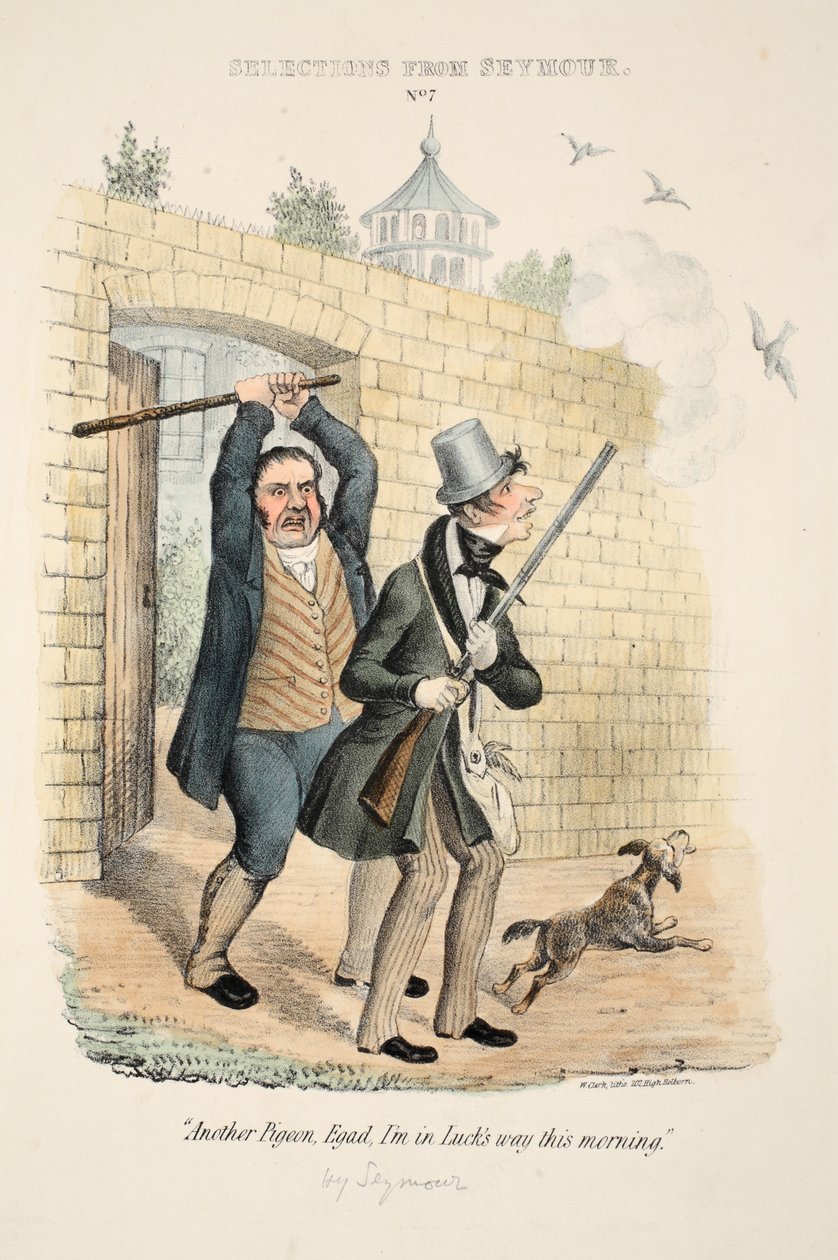 Sélections de Seymour : No. 7, 
