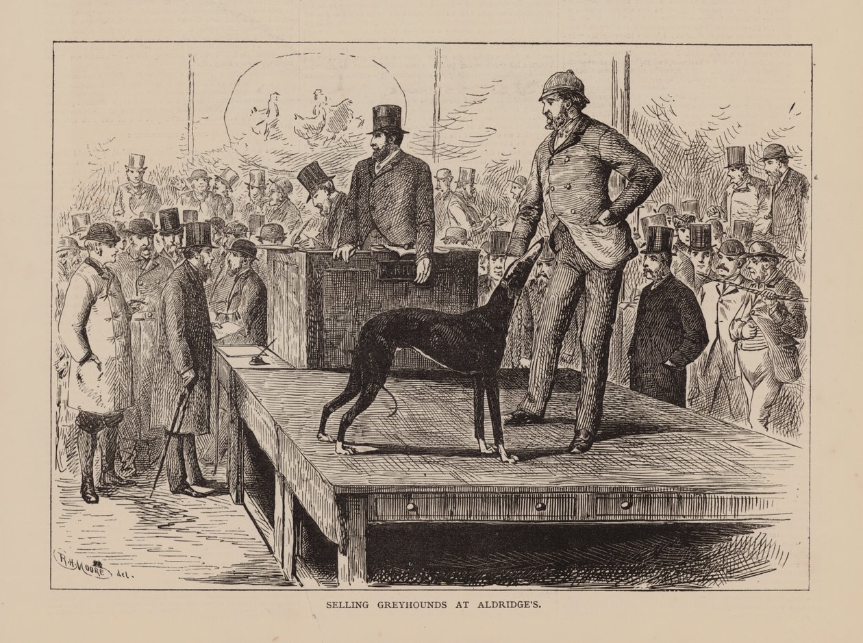 Vente de lévriers chez Aldridge (gravure) - English School