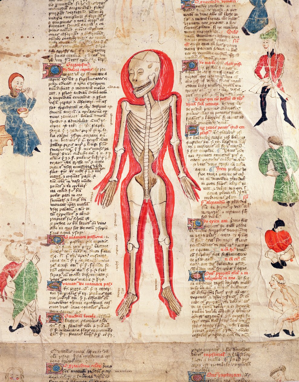 Squelette, de De arte phisicali e de cirugia par John Ardene, 1412 - English School