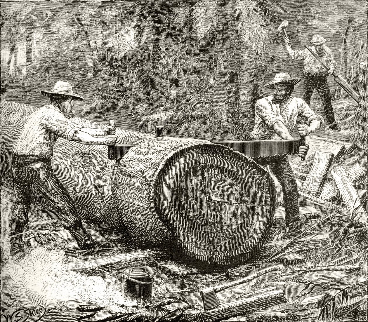 Bûcherons dans le Bush, c.1880, de 