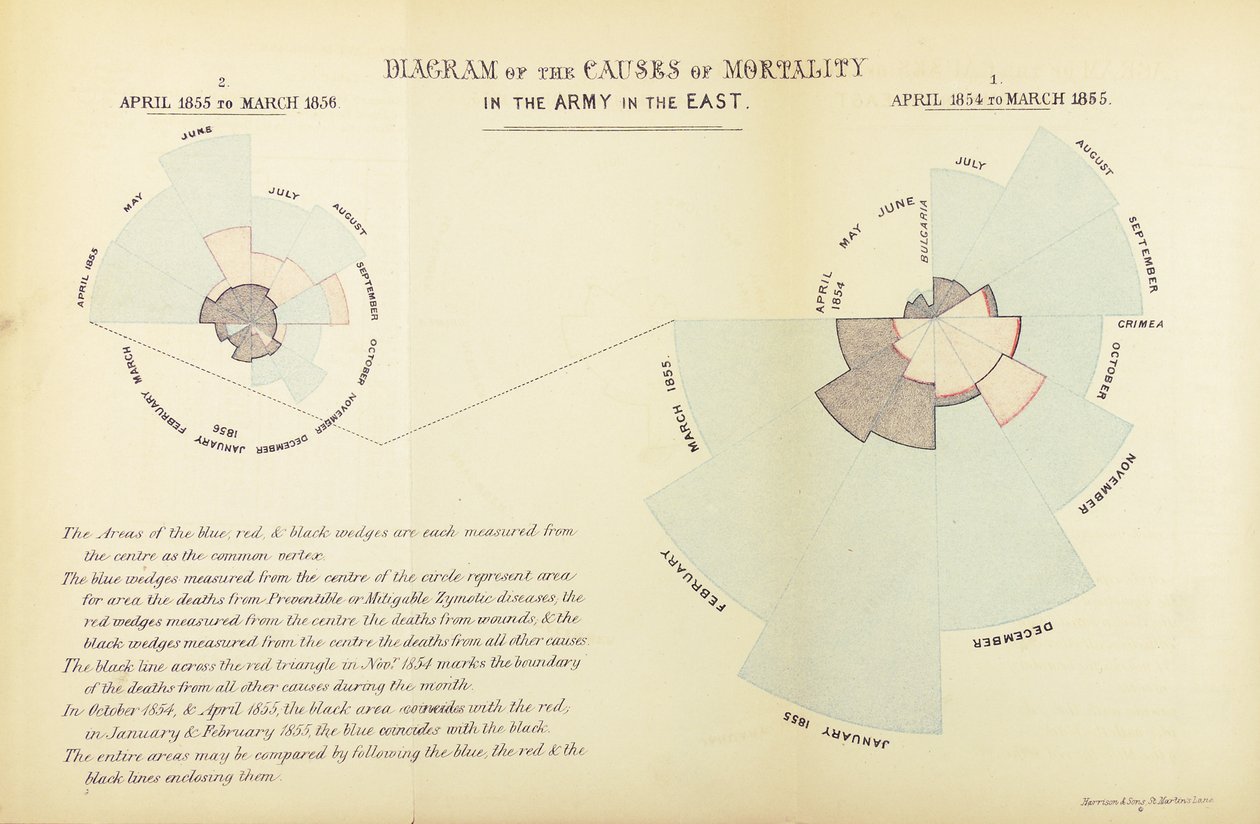 Graphique statistique inventé par Florence Nightingale pour montrer la prédominance des maladies comme cause de mortalité dans l