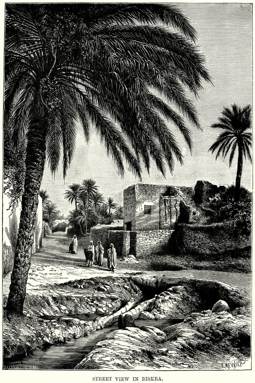 Vue de la rue à Biskra (gravure) - English School