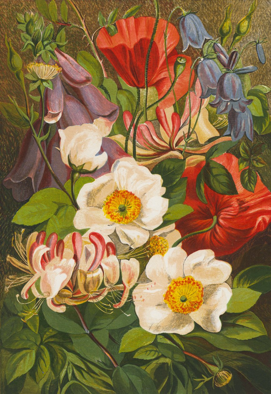Fleurs d