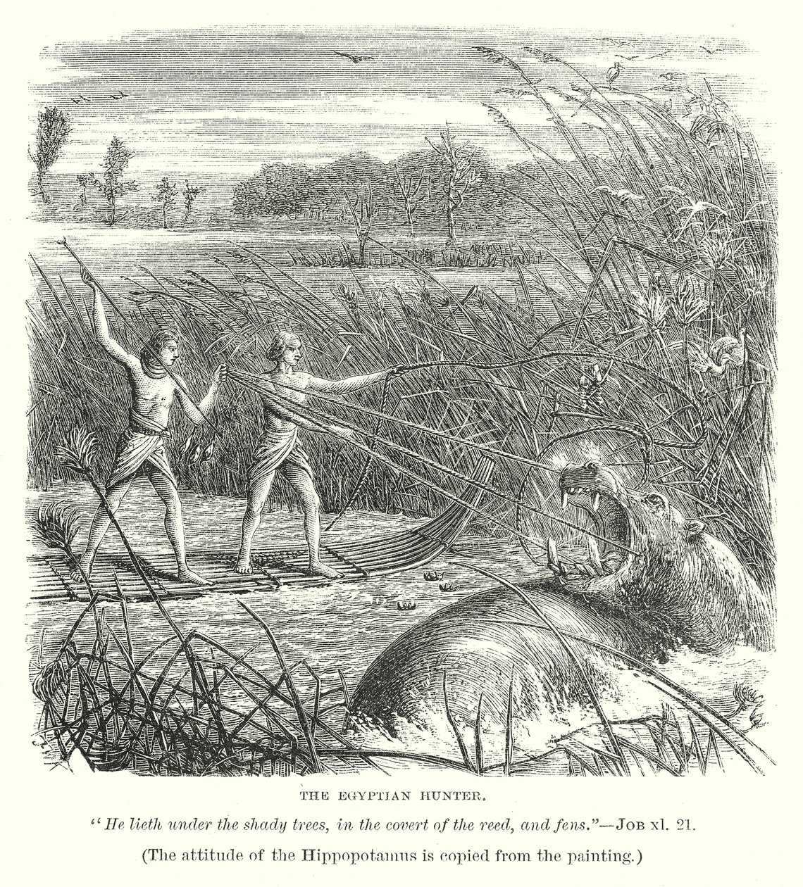 Le chasseur égyptien (gravure) - English School