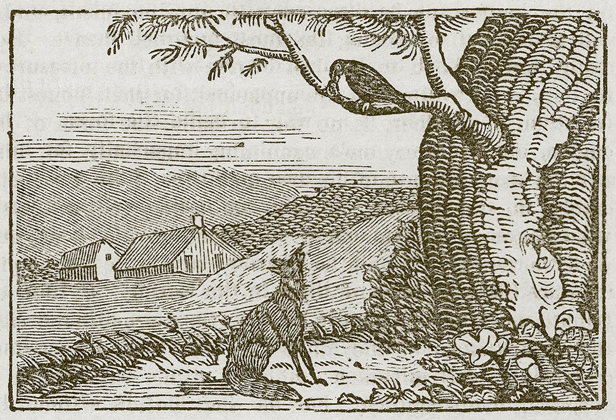 Le renard et le corbeau (gravure) - English School