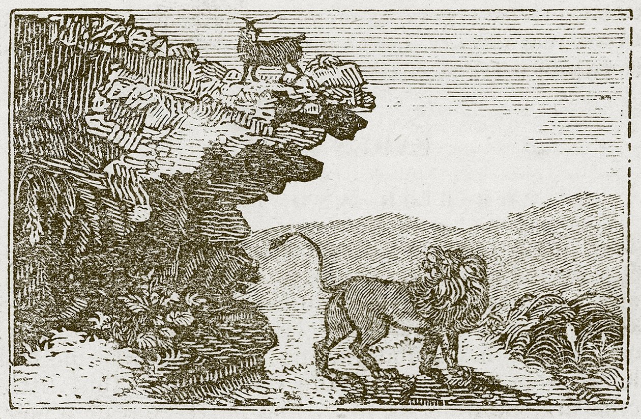 La chèvre et le lion (gravure) - English School