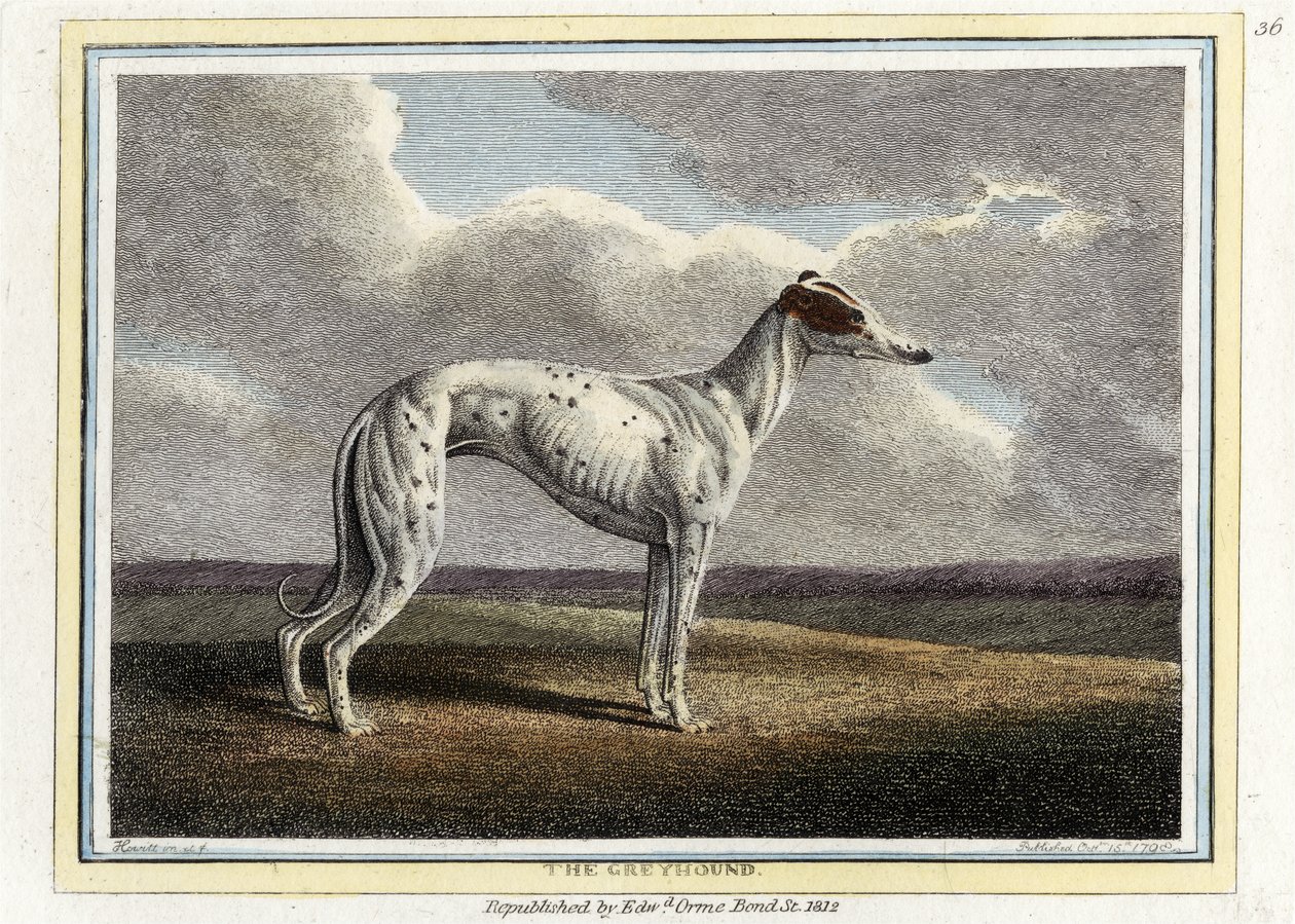 Le Lévrier, pub. 1812 - English School