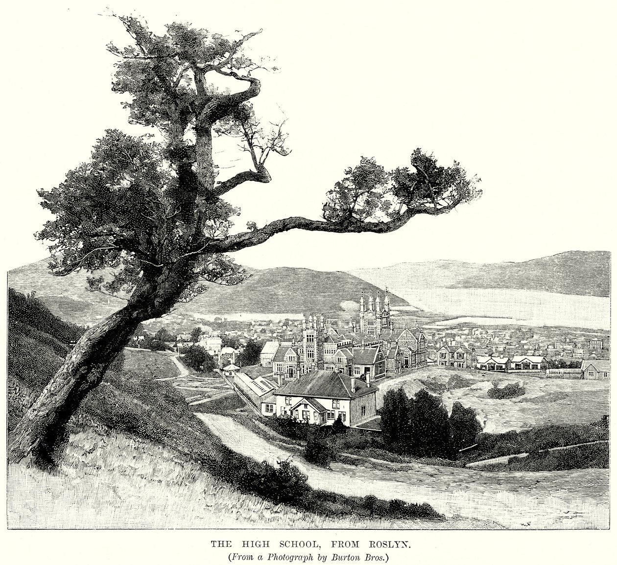 Le lycée, vu de Roslyn (gravure) - English School