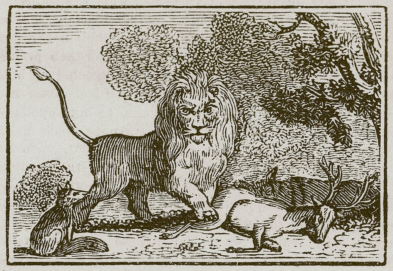 Le lion, l