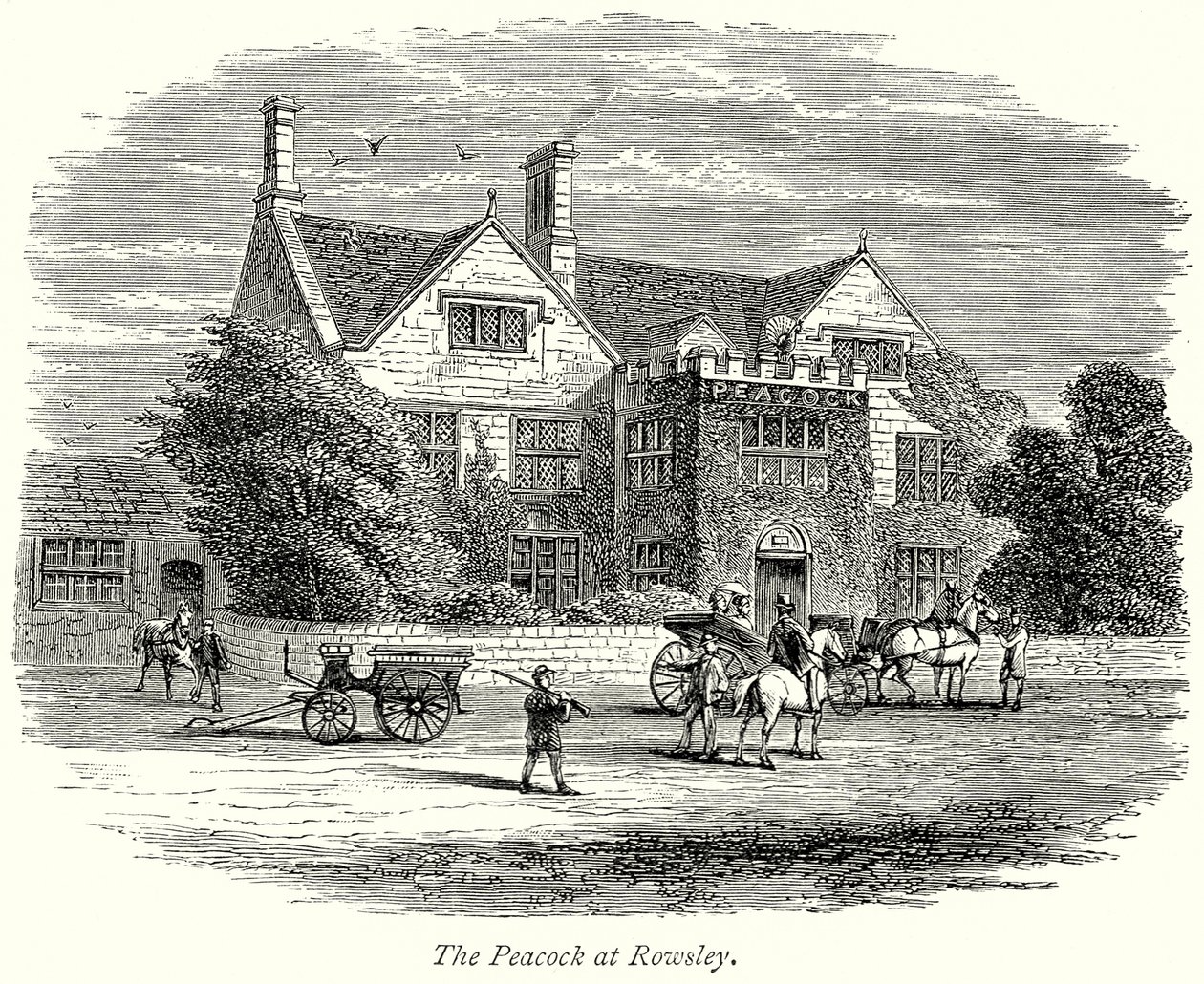 Le paon à Rowsley (gravure) - English School