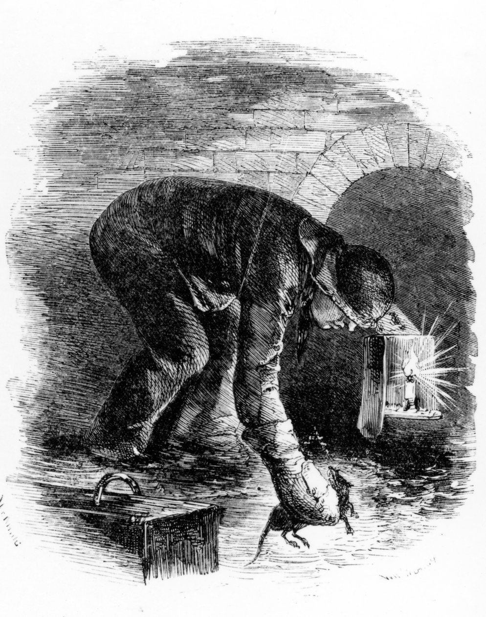Les chasseurs de rats des égouts, illustration de 
