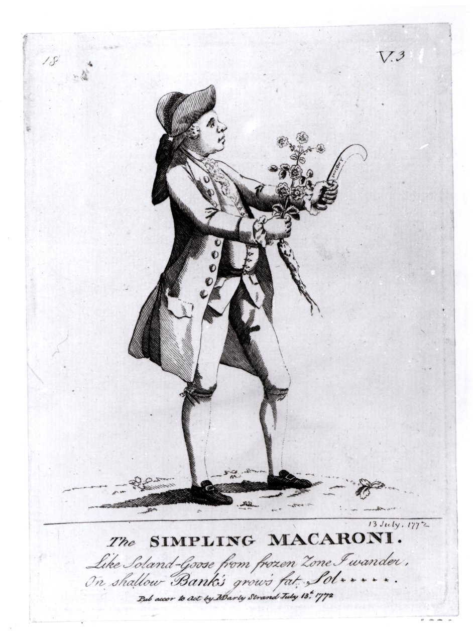 Le Macaroni Simpling - English School