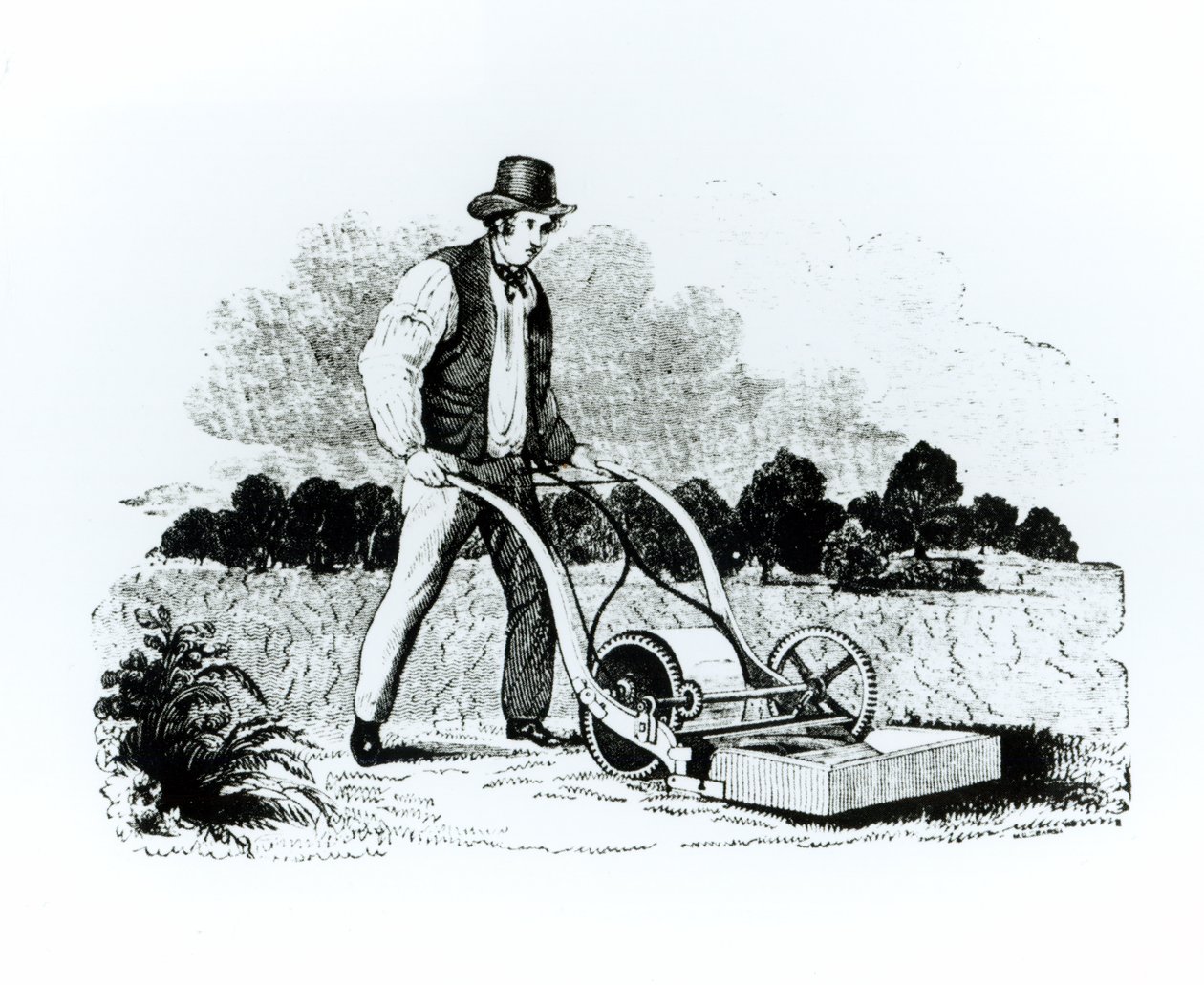 La première tondeuse à gazon - English School