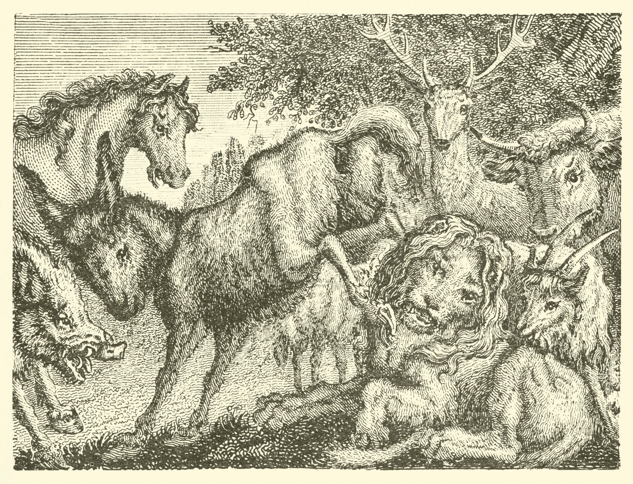 Le vieux lion (gravure) - English School
