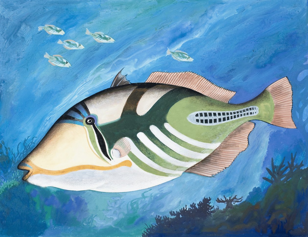Poisson non identifié - English School
