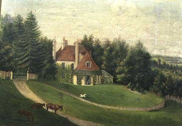 Vue d