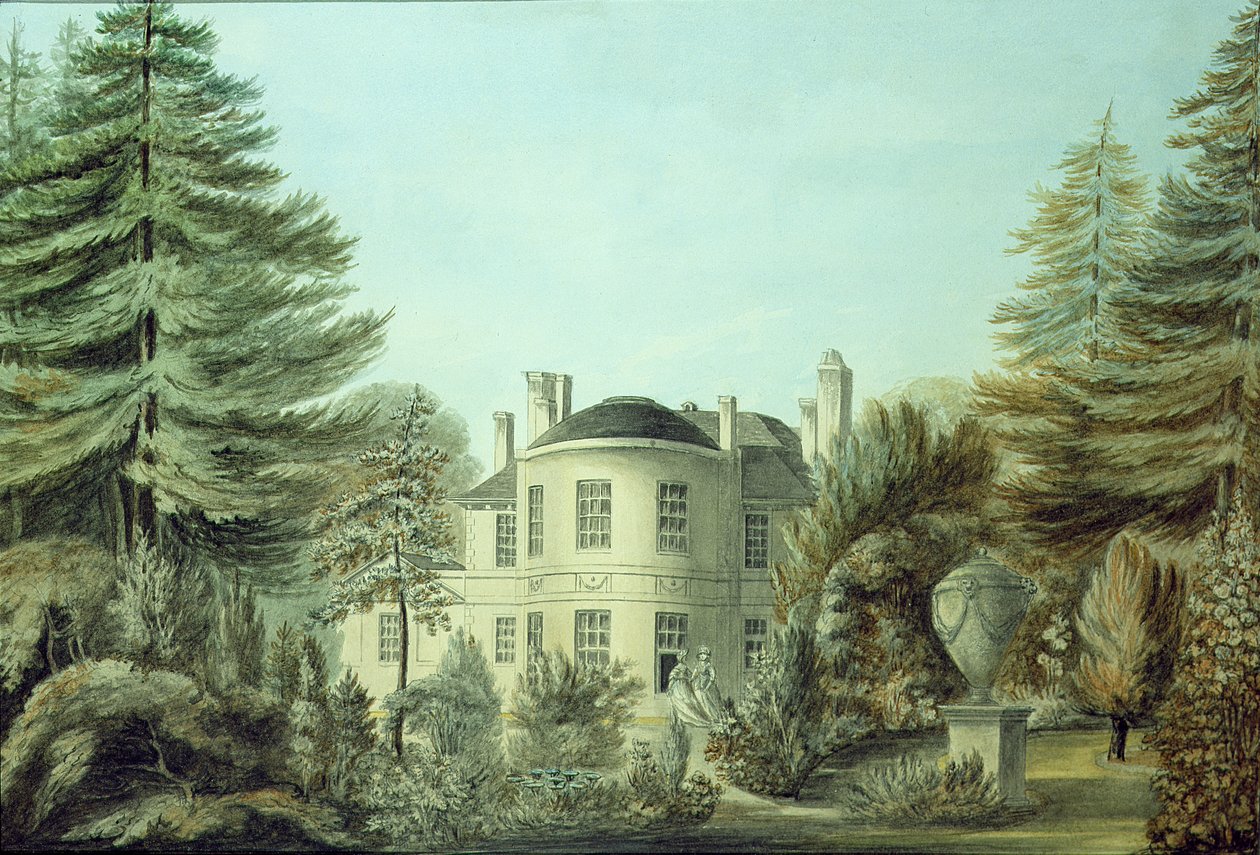 Vue d