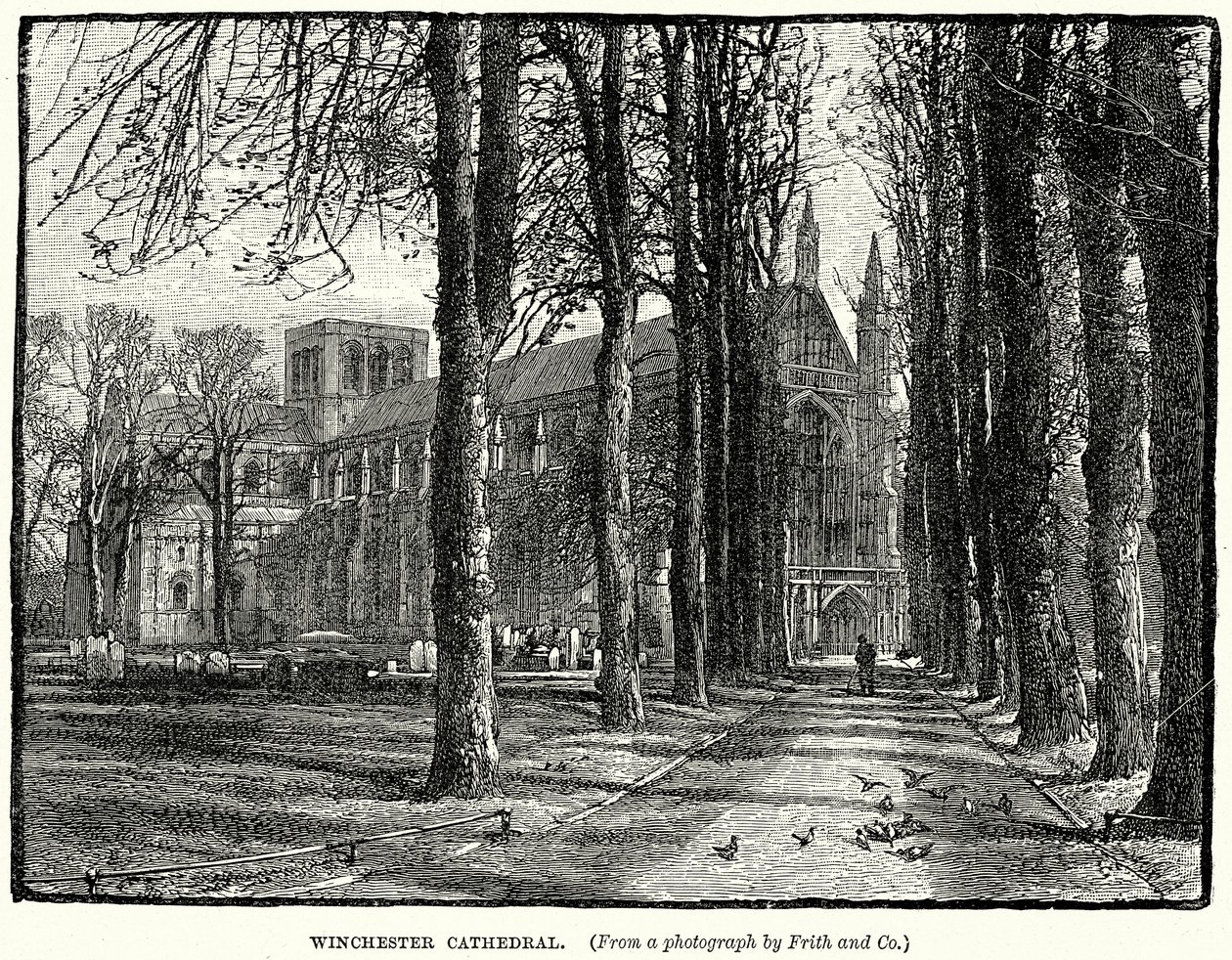 Cathédrale de Winchester (gravure) - English School