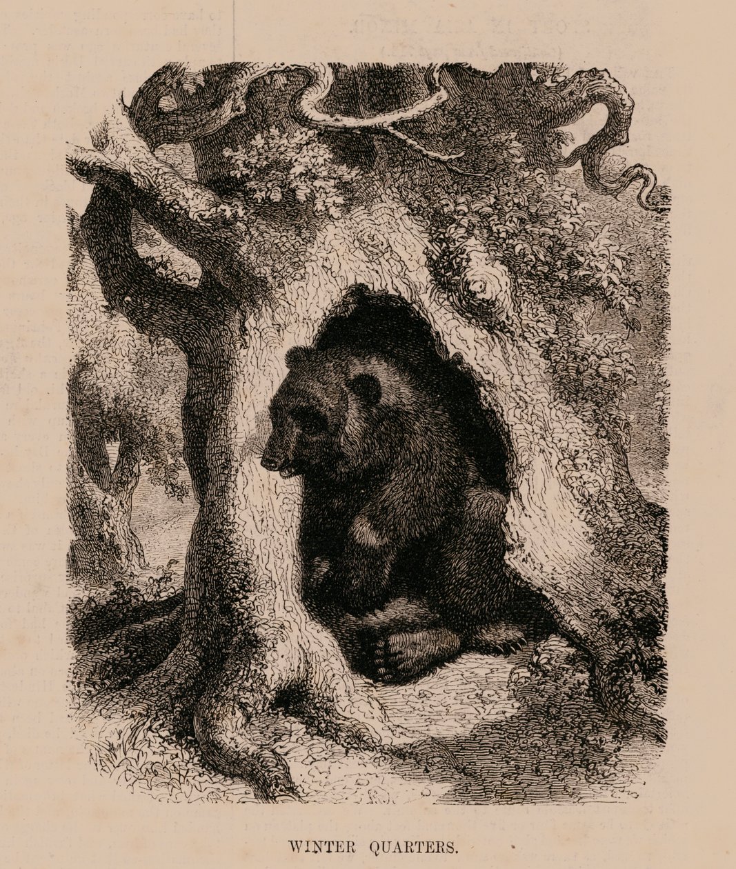 Winters Quarters (gravure) - English School