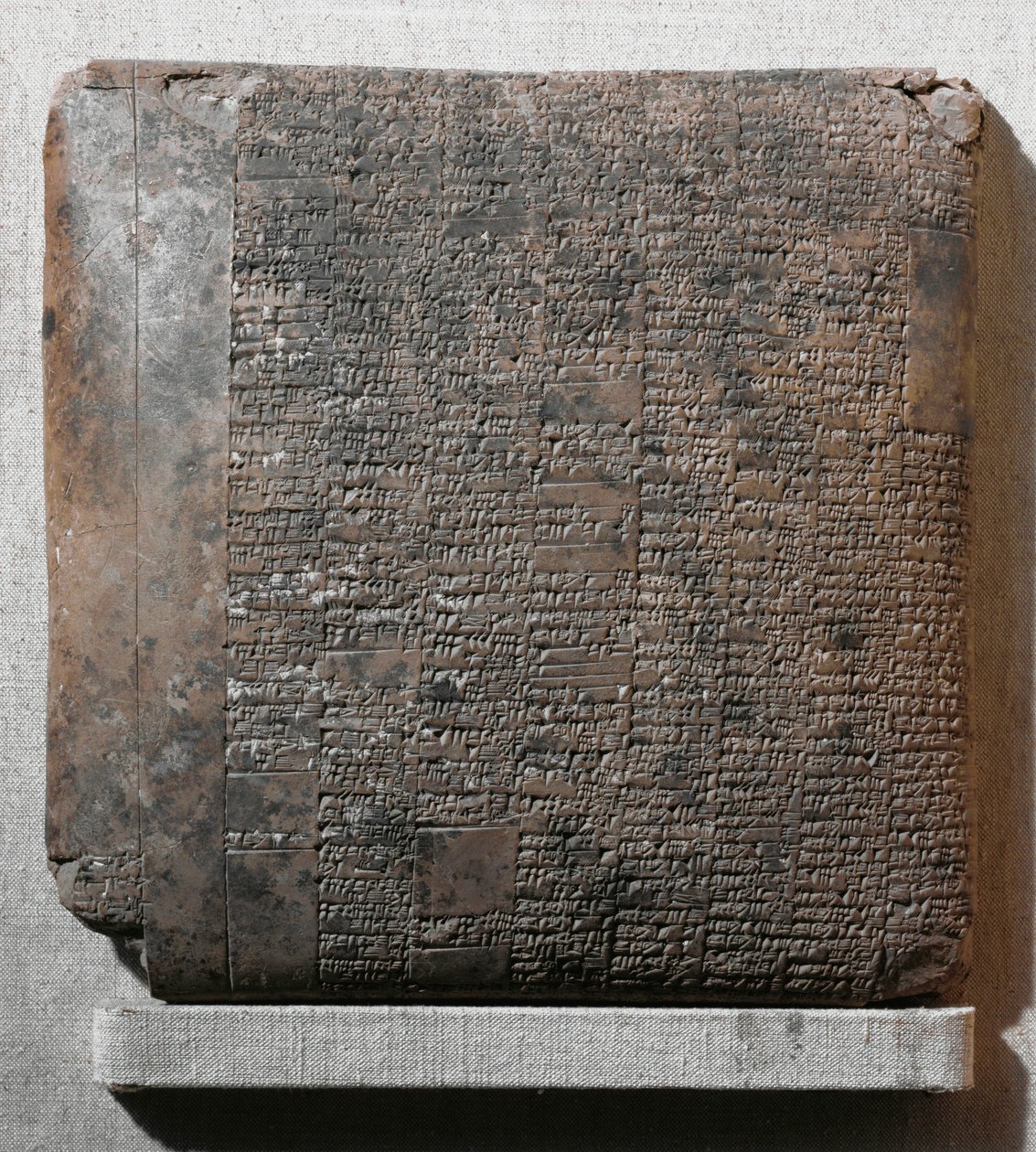 Rapport annuel concernant la production de bois et de roseaux de la ville d