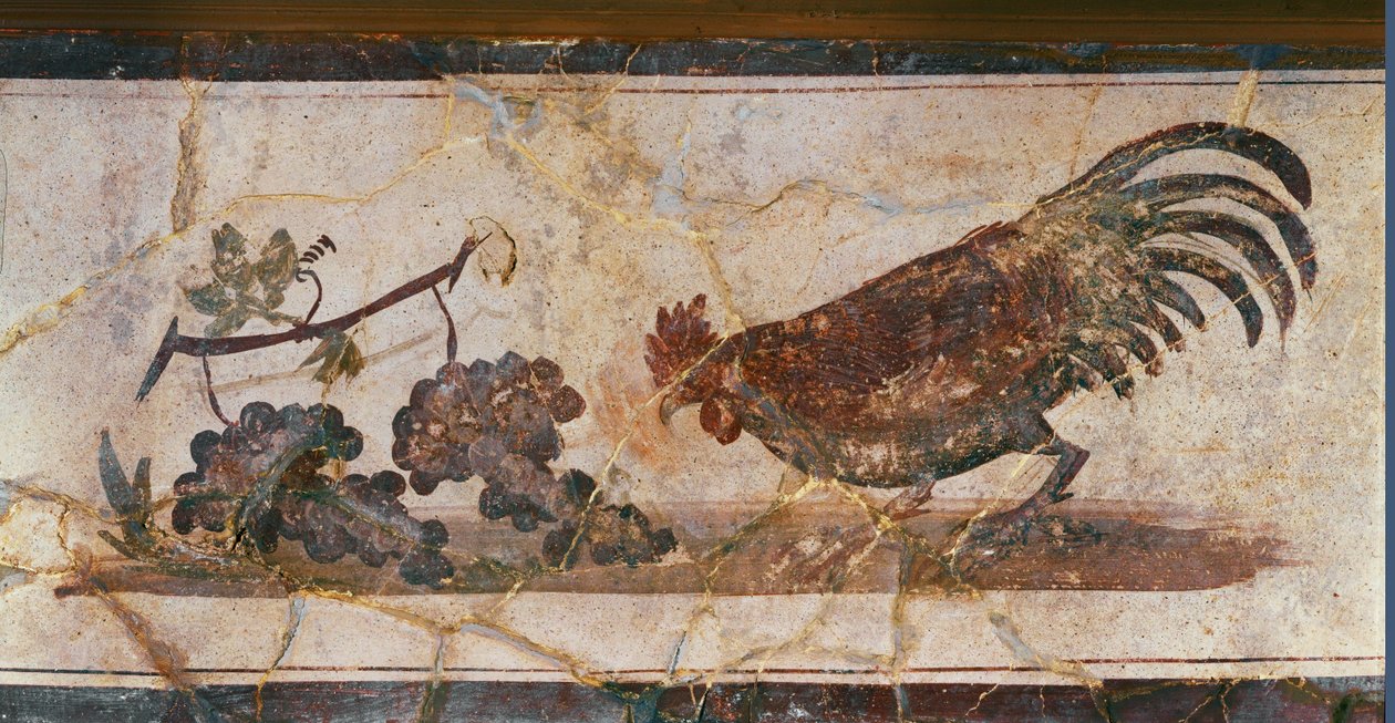 Coq et raisins, Herculanum, Italie (fresque) - Erich Lessing