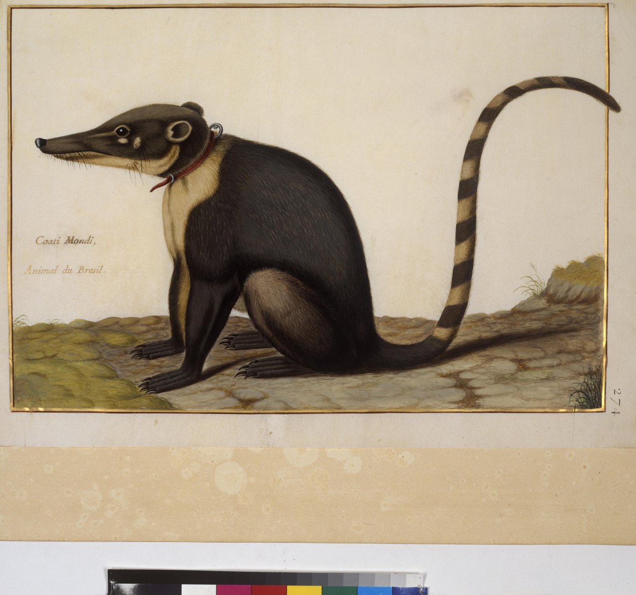 Pleine page : étude d