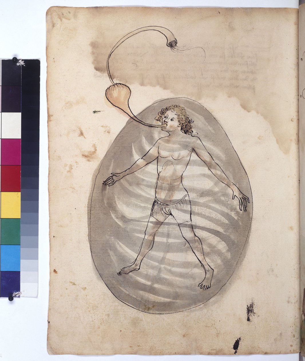 Pleine page : plongeur, vers 1430 (dessin à la plume de couleur) - Erich Lessing