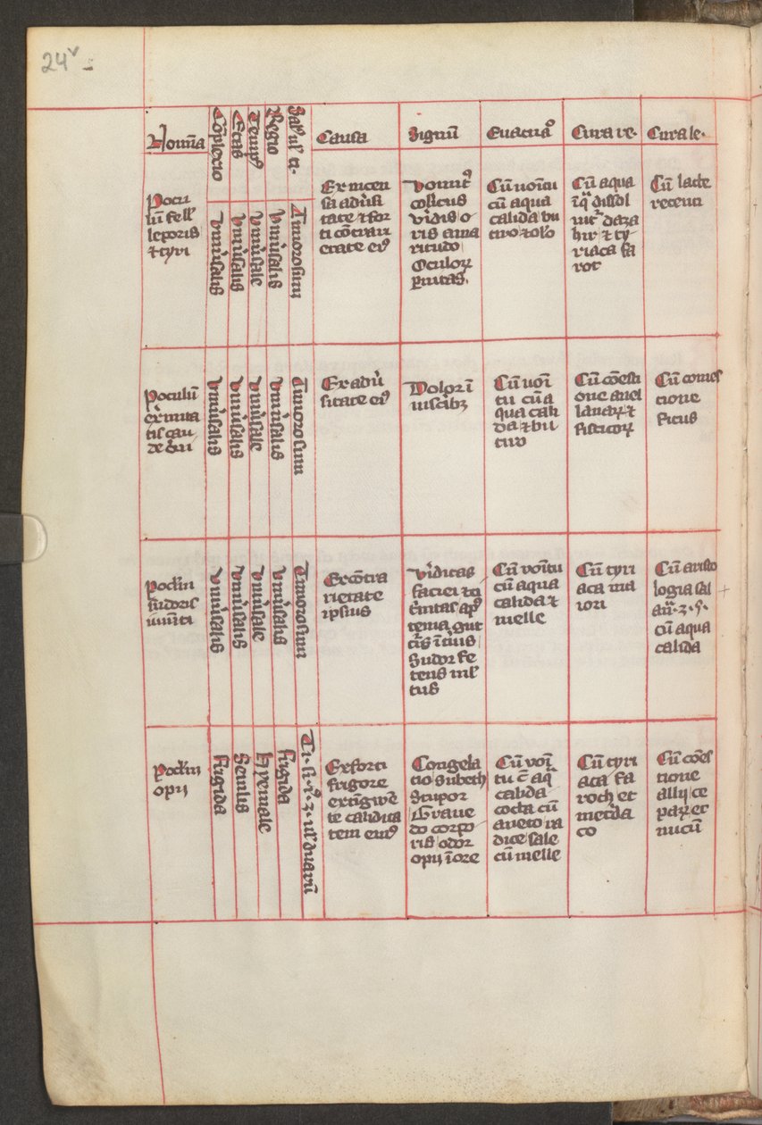 Pleine page : texte - Erich Lessing