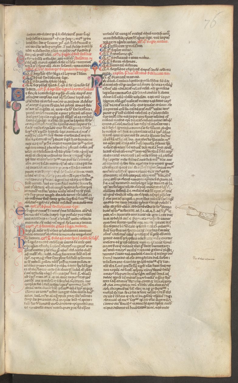 Pleine page : texte avec initiale - Erich Lessing