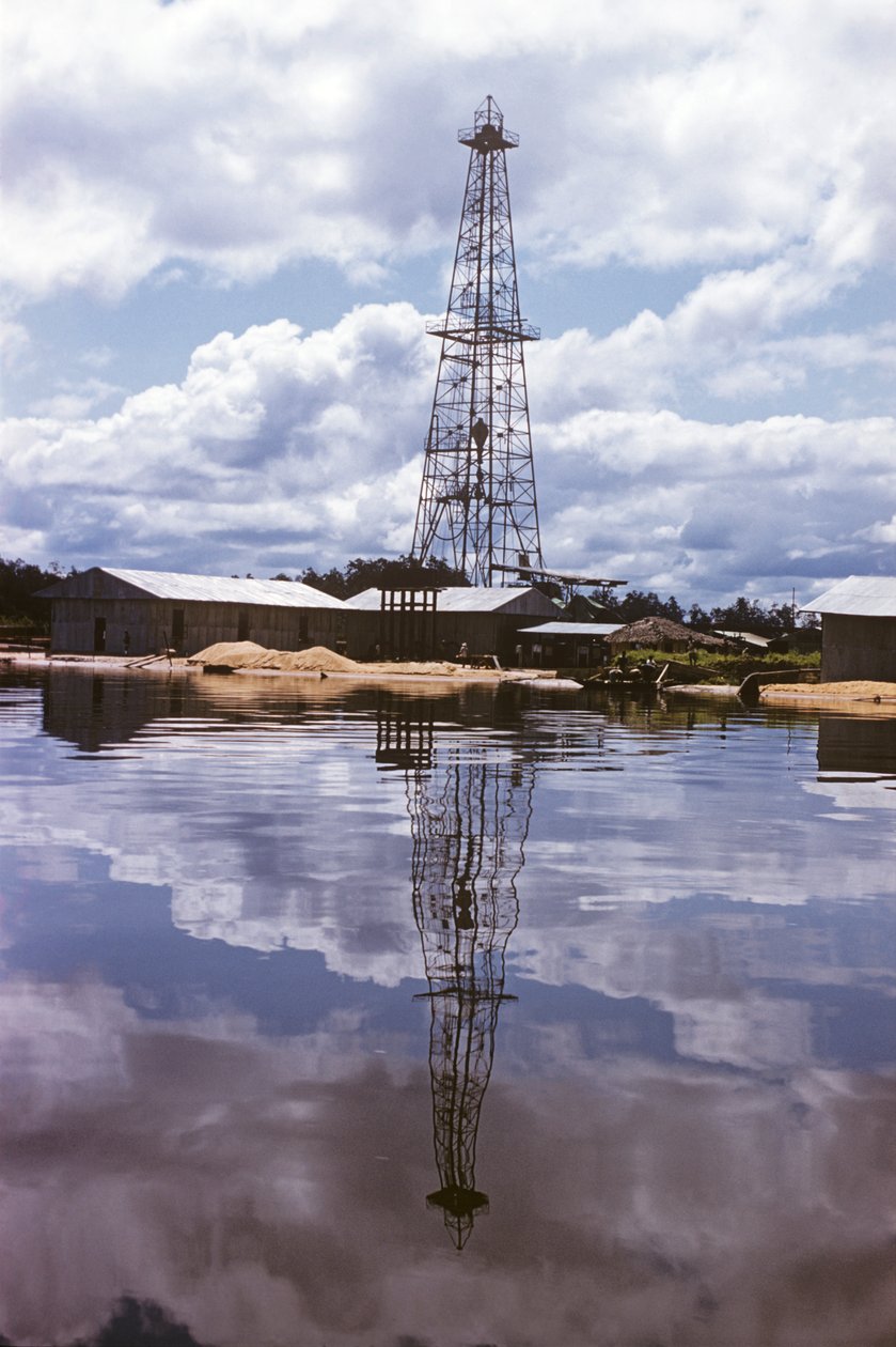Shell et British Petroleum Company, du delta du Niger à Port Harcourt, Nigeria, Afrique - Erich Lessing