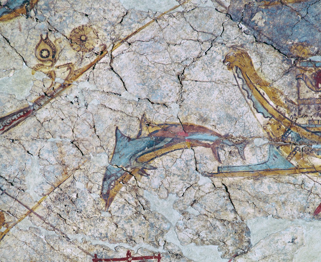 Proue de navire et dauphin - Erich Lessing