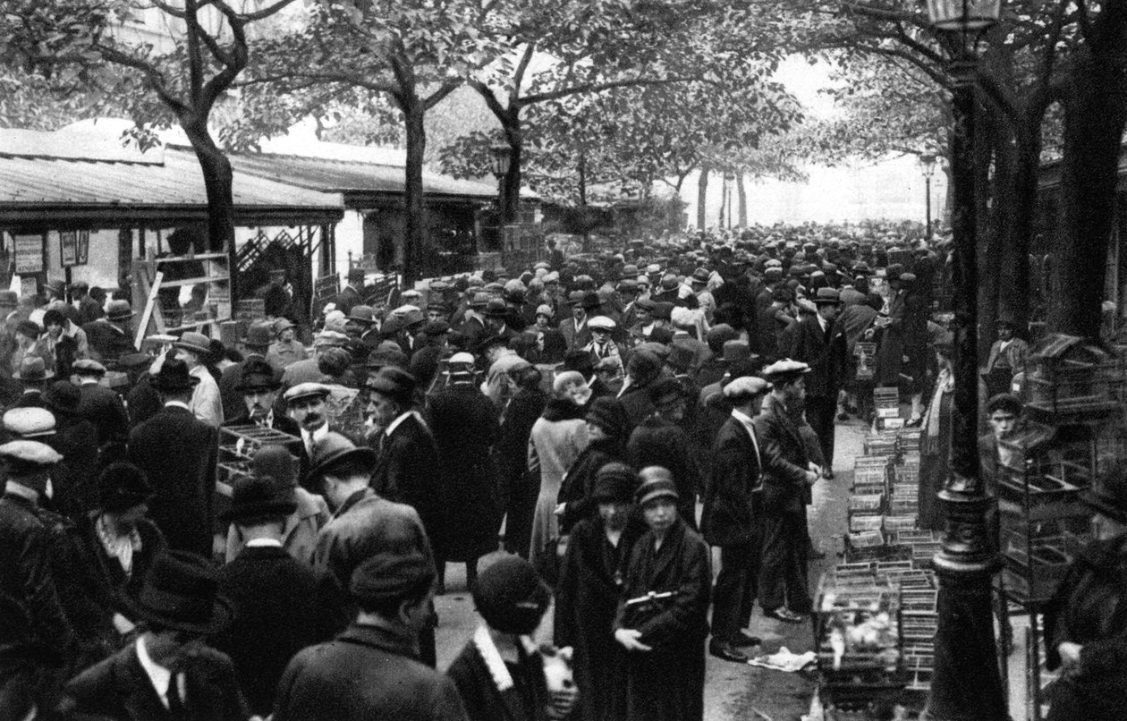 Vue générale du marché aux oiseaux, Paris, 1931 - Ernest Flammarion