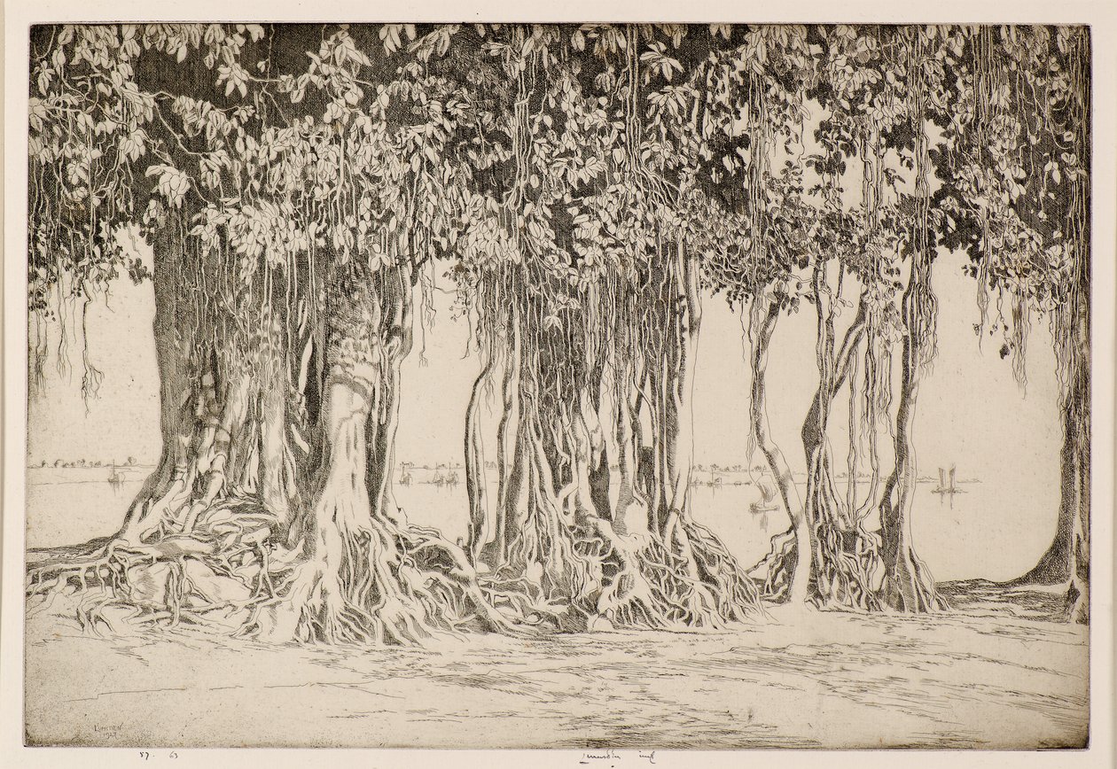 Le banian - Ernest Stephen Lumsden