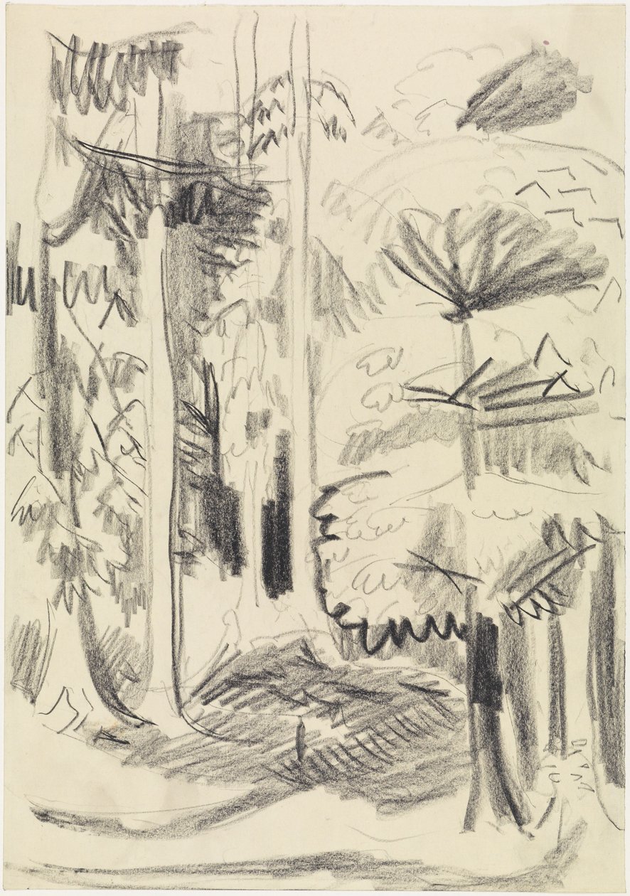 Forêt mixte - Ernst Ludwig Kirchner