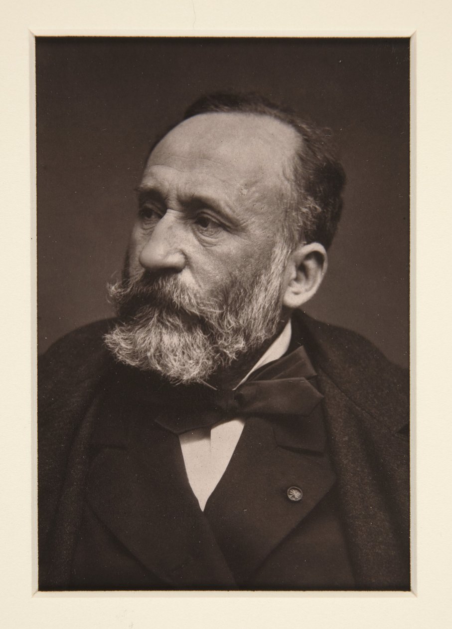 Portrait de Pierre Puvis de Chavannes (1824-1898) - Etienne Carjat