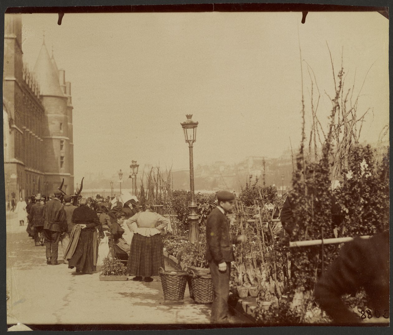 [Le Marché aux Fleurs] - Eugène Atget