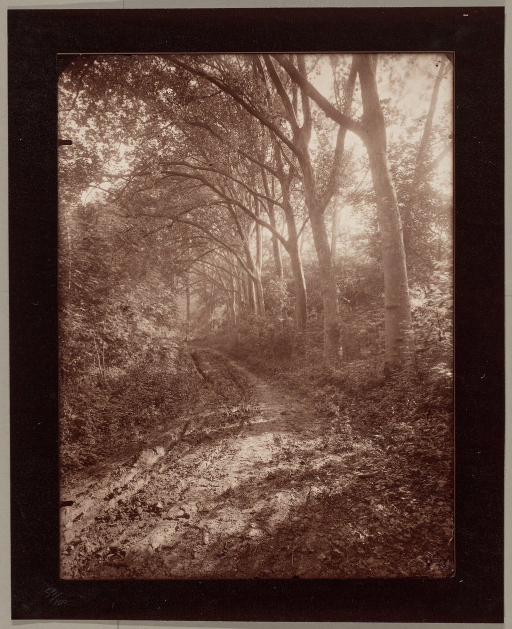 Parc de Sceaux - Eugène Atget