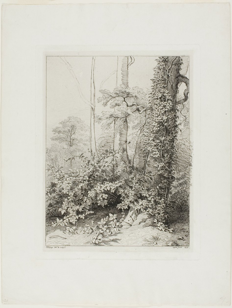 Ronce et lierre - Eugene Bléry