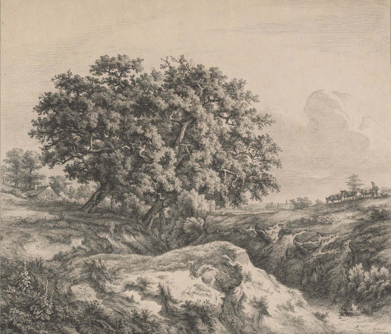 Le chêne au ravin, 1845 - Eugene Bléry