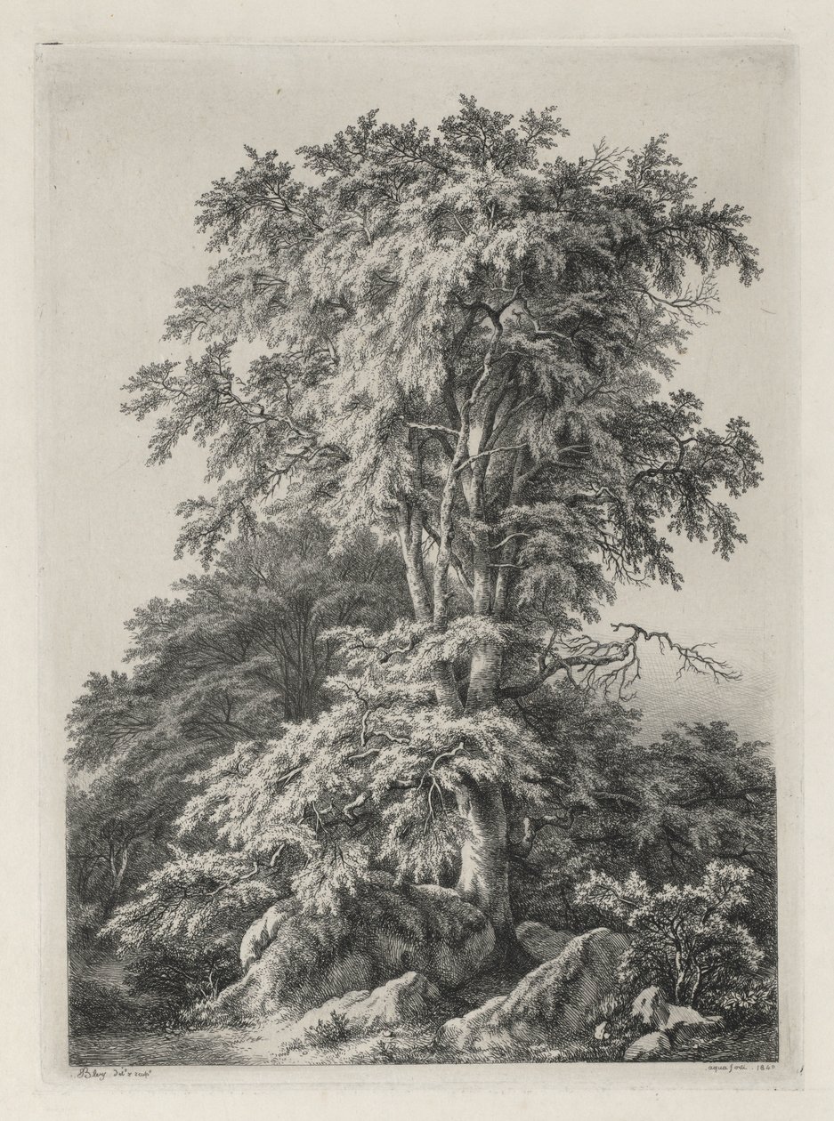 Études dessinées et gravées d